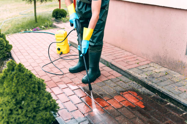 Best House Pressure Washing  in Monte Alto, TX