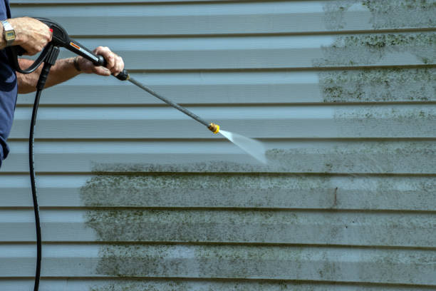 Best Sidewalk Pressure Washing  in Monte Alto, TX
