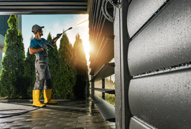 Best Pressure Washing Contractors  in Monte Alto, TX