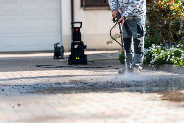 Best Roof Pressure Washing  in Monte Alto, TX