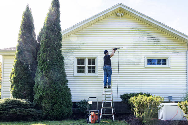 Local Pressure Washing Services in Monte Alto, TX