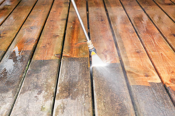 Best Exterior Home Cleaning  in Monte Alto, TX