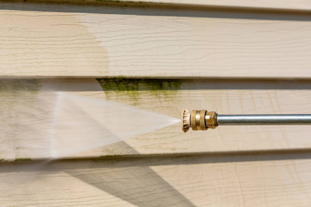 Best Deck Cleaning Services  in Monte Alto, TX